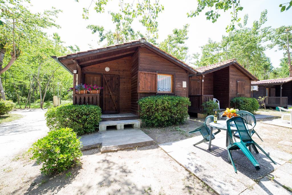 Camping Dei Tigli Torre del Lago Puccini Bilik gambar